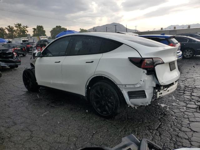 Vin: 7saygdee6pa036104, lot: 59301245, tesla model y 20232