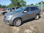 Top Destinations for Shipping Cars from the USA