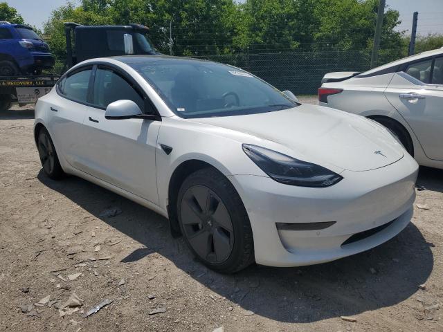 Vin: 5yj3e1eb7mf050349, lot: 59164575, tesla model 3 20214