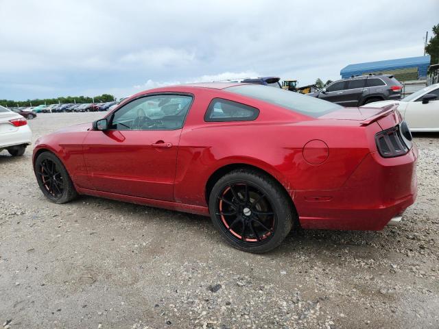 Vin: 1zvbp8am2d5267439, lot: 61307575, ford all models 20132