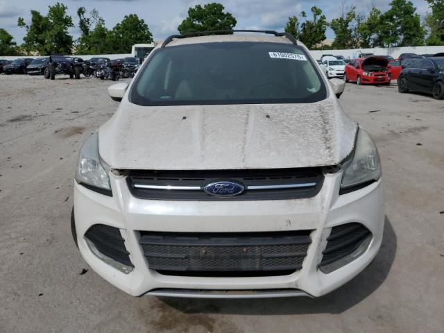 2014 FORD ESCAPE - 1FMCU0GX4EUB45820