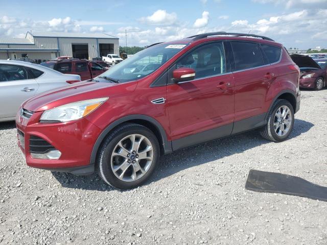 FORD ESCAPE SEL