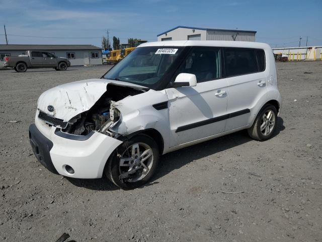 KIA SOUL +
