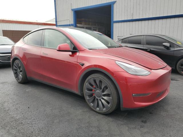 2024 TESLA MODEL Y - 7SAYGDEF4RF156594