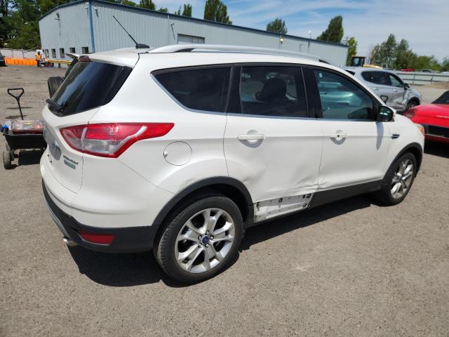 2014 FORD ESCAPE TIT - 1FMCU0JX5EUC52531