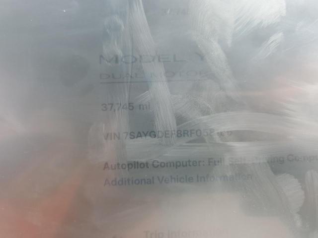 2024 TESLA MODEL Y - 7SAYGDEF8RF058166