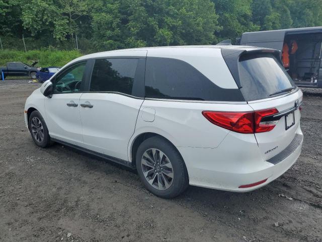 Vin: 5fnrl6h62rb022168, lot: 60836725, honda all models exl 20242