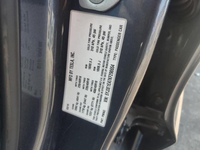 2019 TESLA MODEL 3 #3284854525