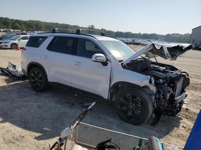 2025 HYUNDAI PALISADE XRT KM8R34GE7SU930833