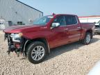 2024 CHEVROLET SILVERADO - 1GCUDGED2RZ391817