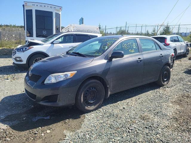 TOYOTA COROLLA BA