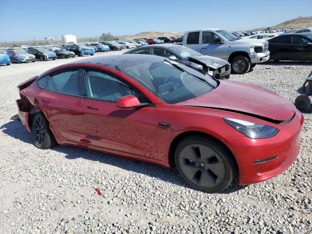 2023 TESLA MODEL 3 #3291610239