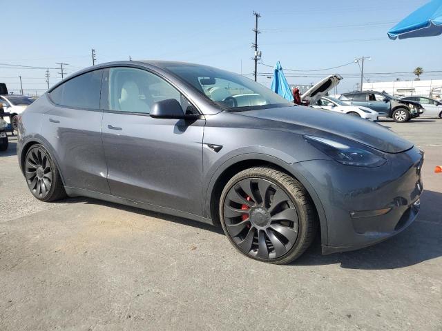 2023 TESLA MODEL Y 7SAYGDEF8PF879202