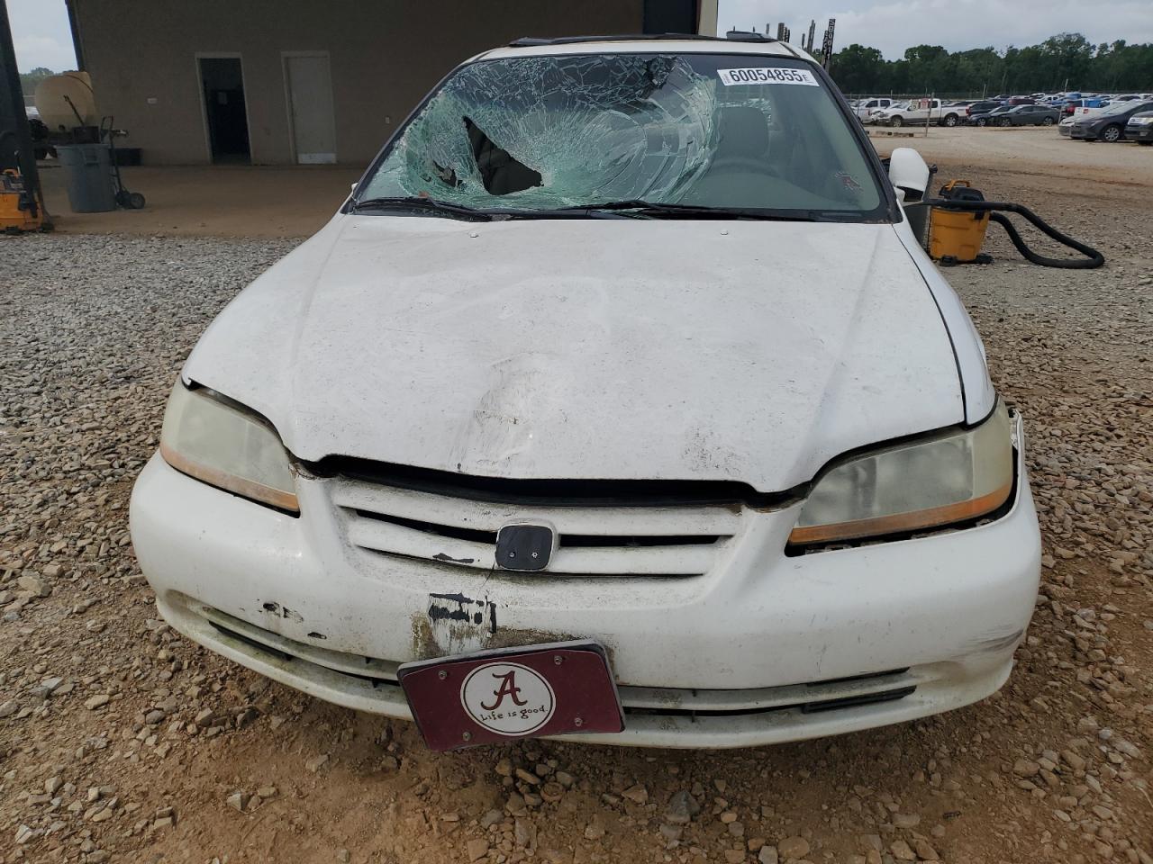 Global Auto Auctions