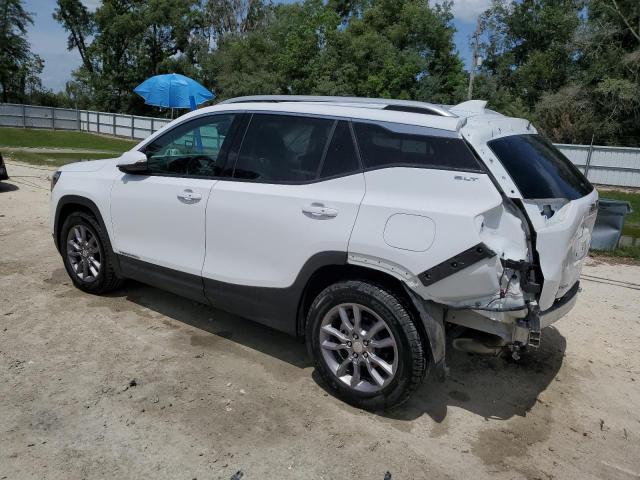 Vin: 3gkalveg3rl316334, lot: 60030425, gmc terrain slt 20242