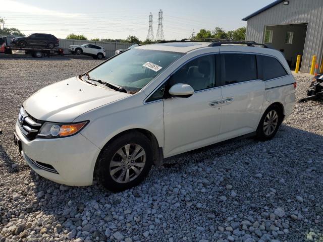 Vin: 5fnrl5h63eb008381, lot: 61558615, honda all models exl 2014 img_1