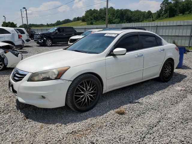 2011 HONDA ACCORD EXL - 1HGCP3F86BA026981