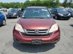 Lot #3317816084 2011 HONDA CRV