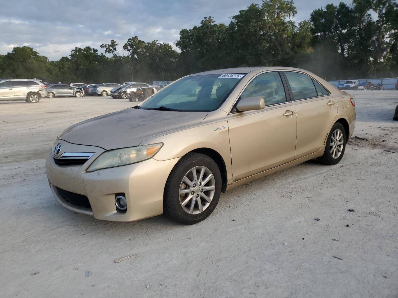 TOYOTA CAMRY HYBRID