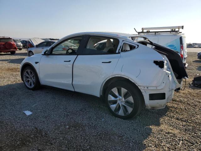2021 TESLA MODEL Y 5YJYGDEE2MF072948