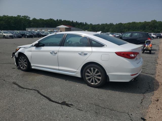 2016 HYUNDAI SONATA SPO 5NPE34AF4GH412782
