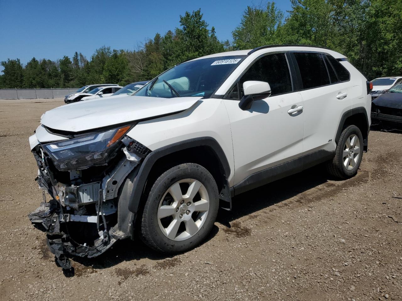 TOYOTA RAV4 XLE