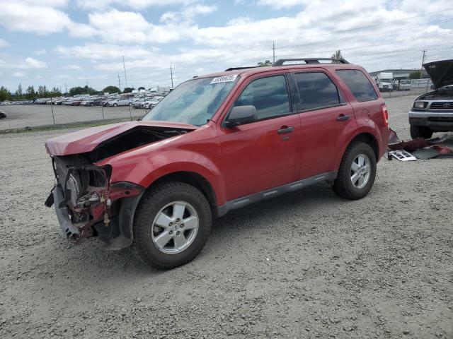 Vin: 1fmcu9dg9akb65074, lot: 59388635, ford escape xlt 2010 img_1