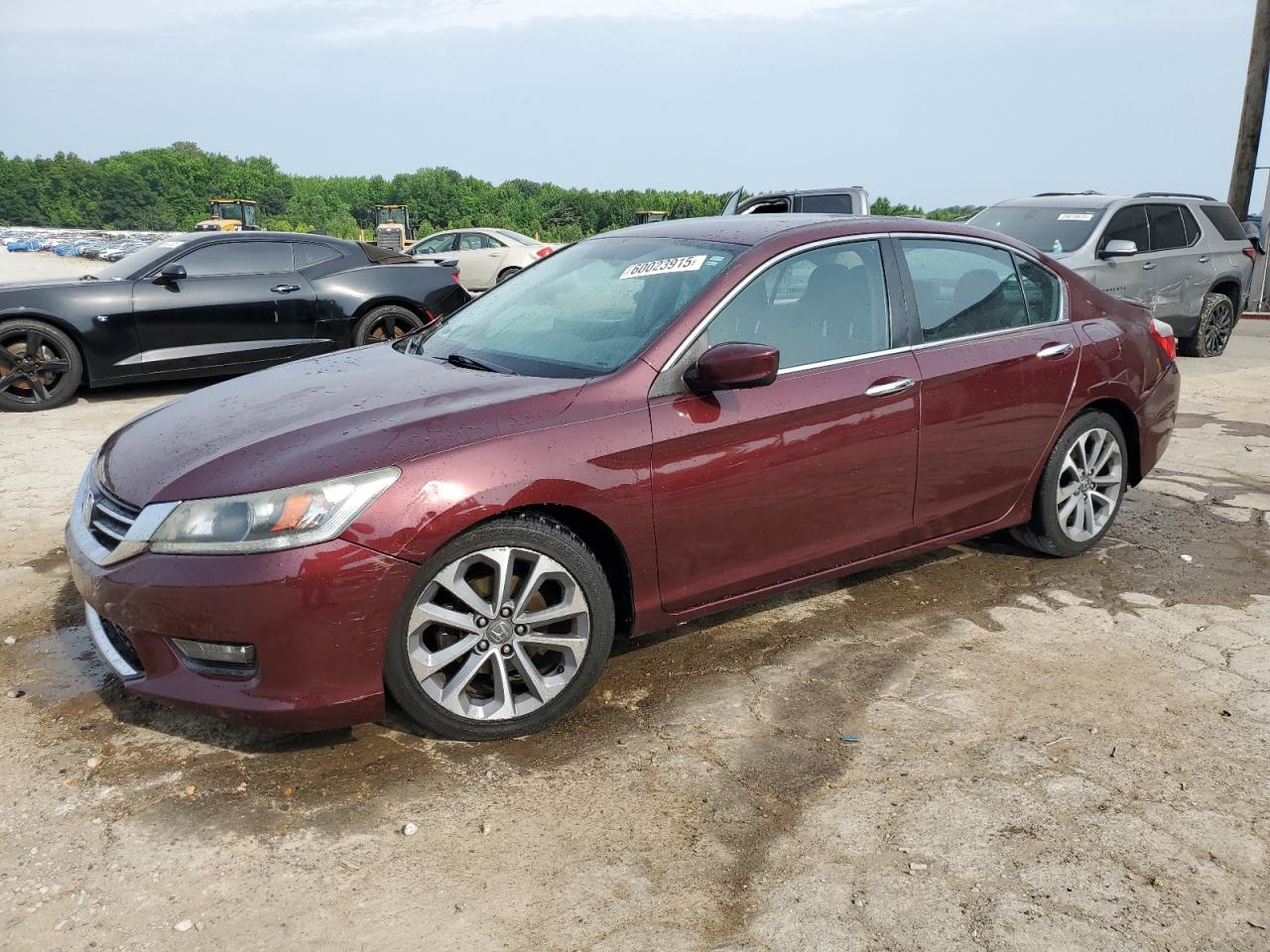 HONDA ACCORD SPORT