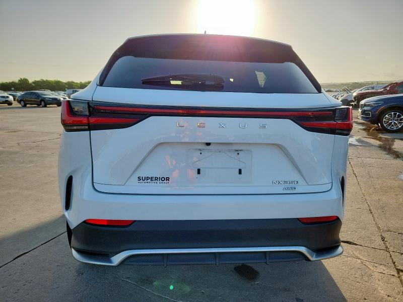 2022 LEXUS NX 350 - JTJKGCEZXN5003962