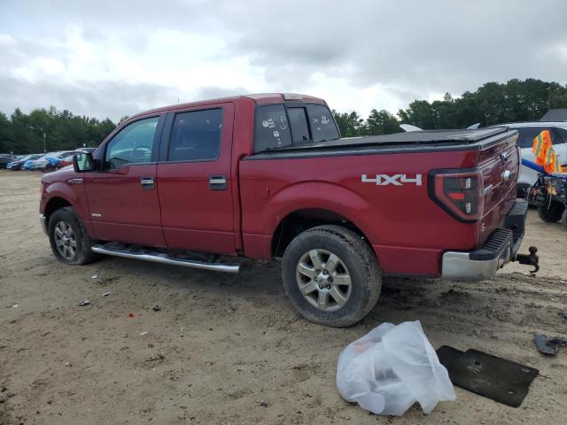 Vin: 1ftfw1et2dkf79374, lot: 61192585, ford f-150 supercrew 20132