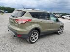 Lot #3301742393 2013 FORD ESCAPE TIT