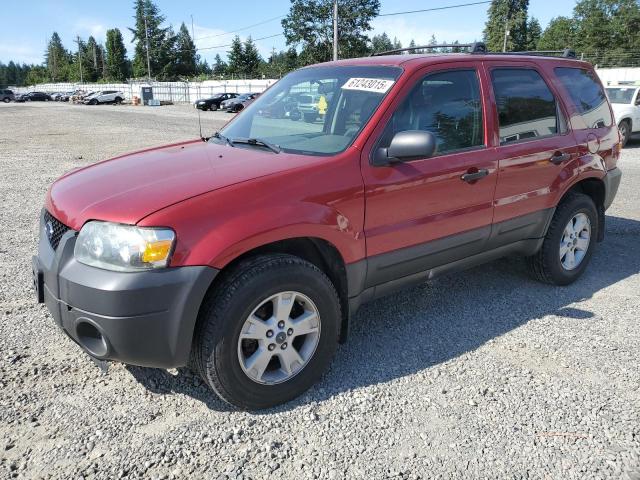 FORD ESCAPE XLT 2006 1FMYU03176KA39317 photo #1