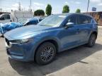 Top Destinations for Shipping Cars from the USA