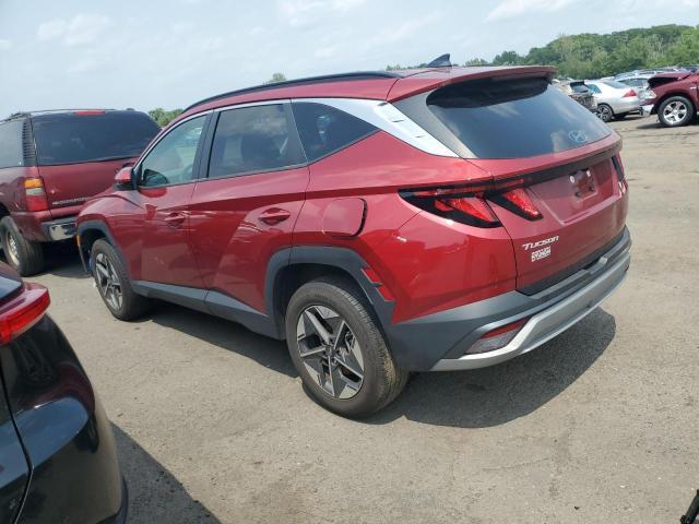 2025 HYUNDAI TUCSON SEL - 5NMJBCDEXSH455253