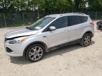 2015 FORD ESCAPE TIT - 1FMCU0J90FUB71326