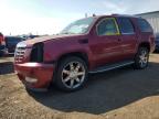 Top Destinations for Shipping Cars from the USA