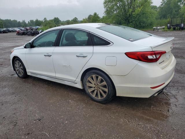 2016 HYUNDAI SONATA SPO - 5NPE34AF1GH392720