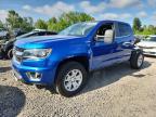 2019 CHEVROLET COLORADO L - 1GCPTCE1XK1321890