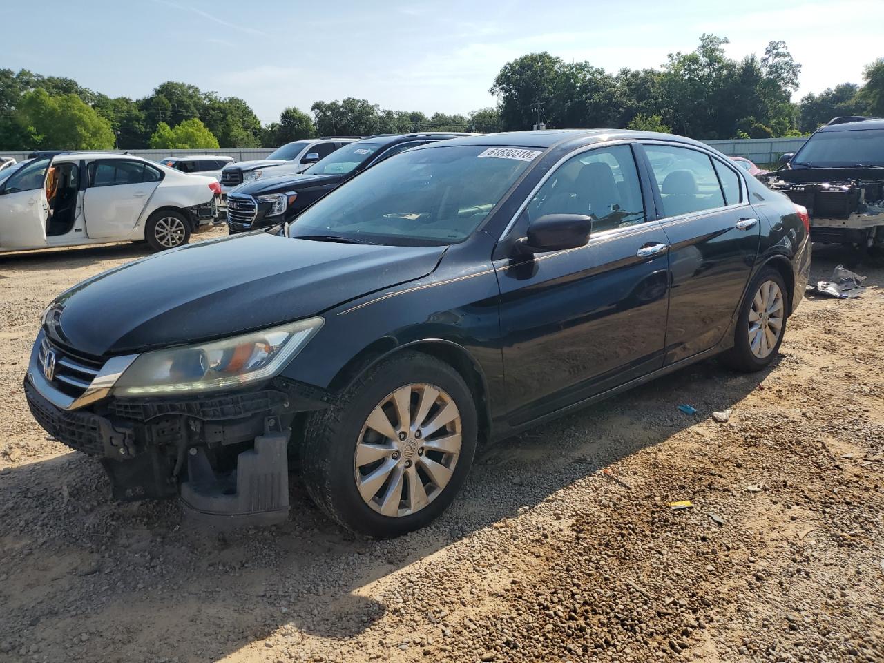 HONDA ACCORD EXL