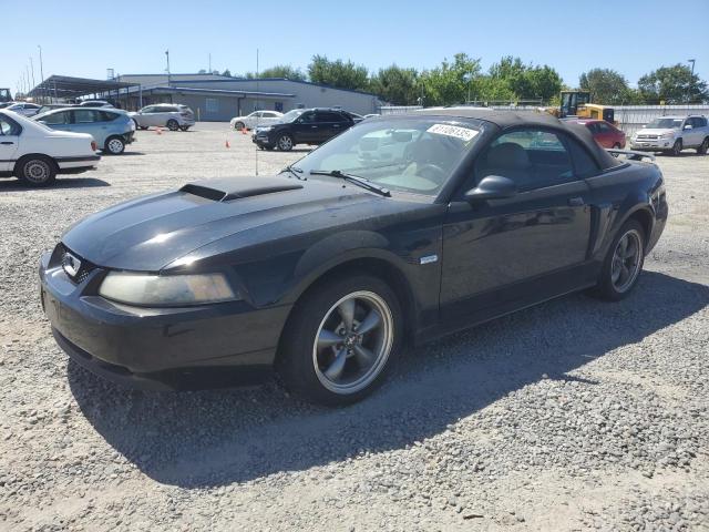 FORD MUSTANG GT 2003 black  gas 1FAFP45X23F436939 photo #1