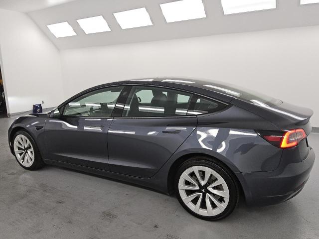 Vin: 5yj3e1ea3pf459640, lot: 61107195, tesla model 3 20232