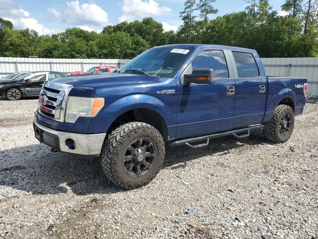 2010 FORD F150 SUPER - 1FTEW1E80AFB56014