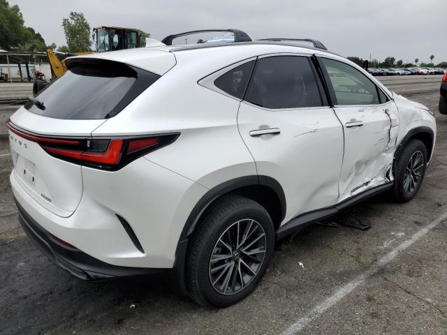 2023 LEXUS NX 250 JTJADCAZ5P5011769