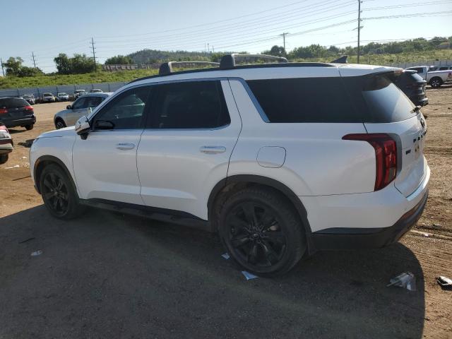 2023 HYUNDAI PALISADE X KM8R3DGE7PU574245