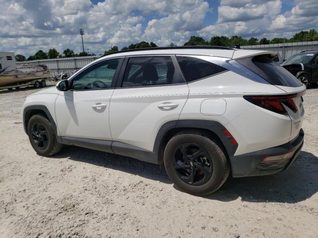 2024 HYUNDAI TUCSON SEL 5NMJB3DE8RH322713