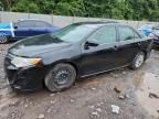 Top Destinations for Shipping Cars from the USA