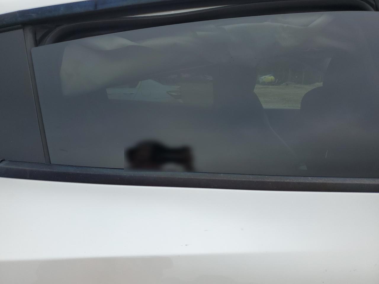 Tesla Model y 2020