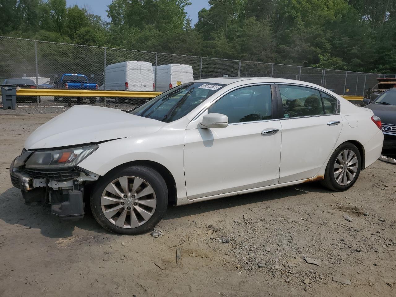 HONDA ACCORD EXL