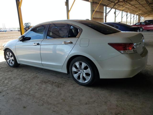2008 HONDA ACCORD EXL #3291187979