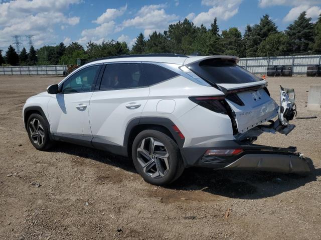 2023 HYUNDAI TUCSON LIM - 5NMJE3AE4PH251762